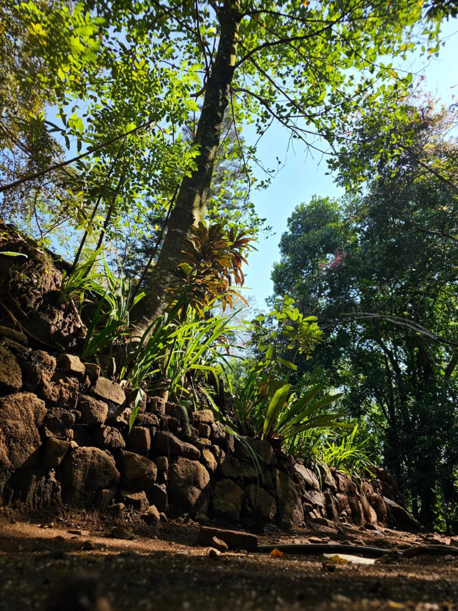 Galkanda Walawwa Kandy Exterior photo