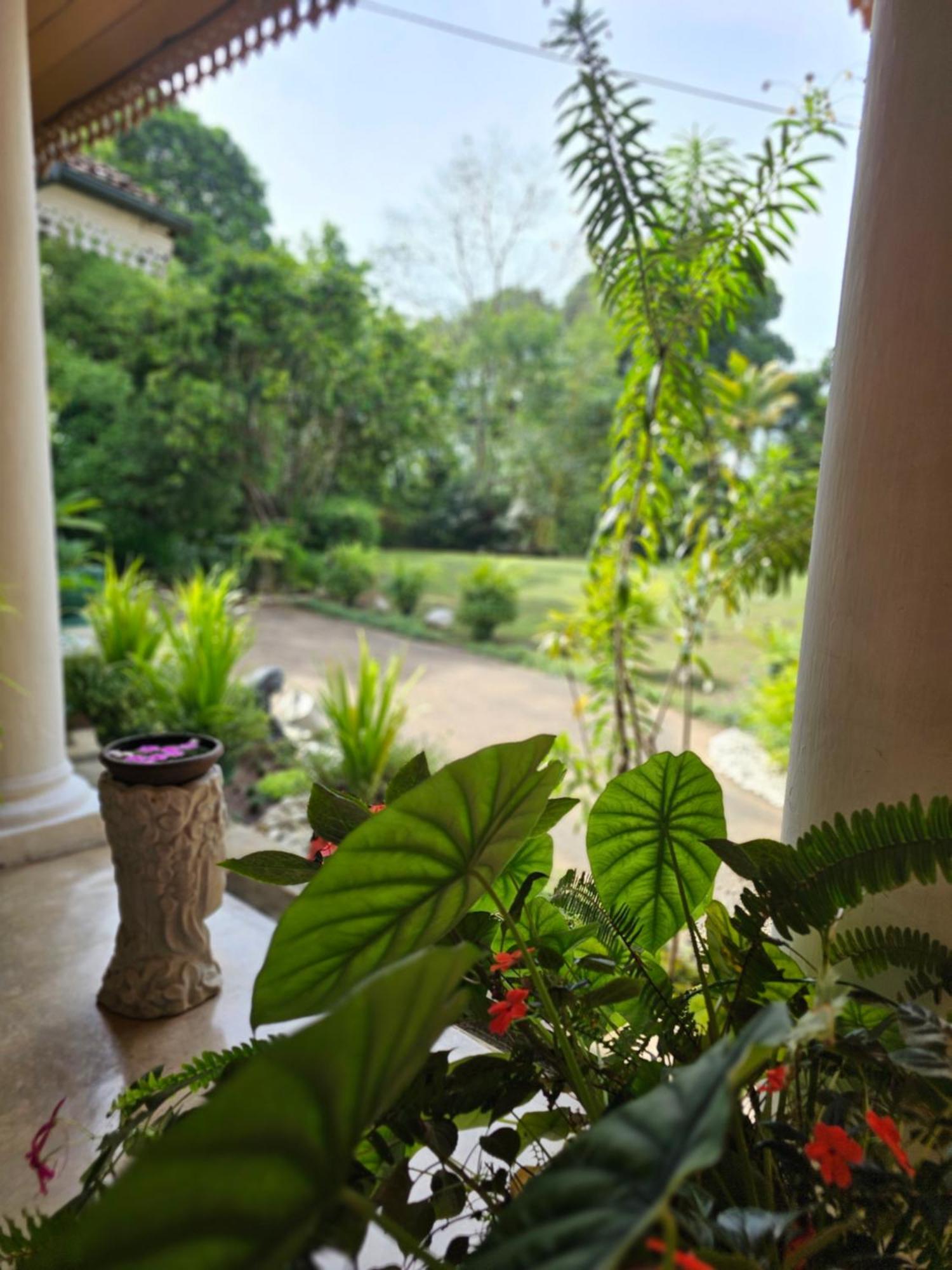 Galkanda Walawwa Kandy Exterior photo
